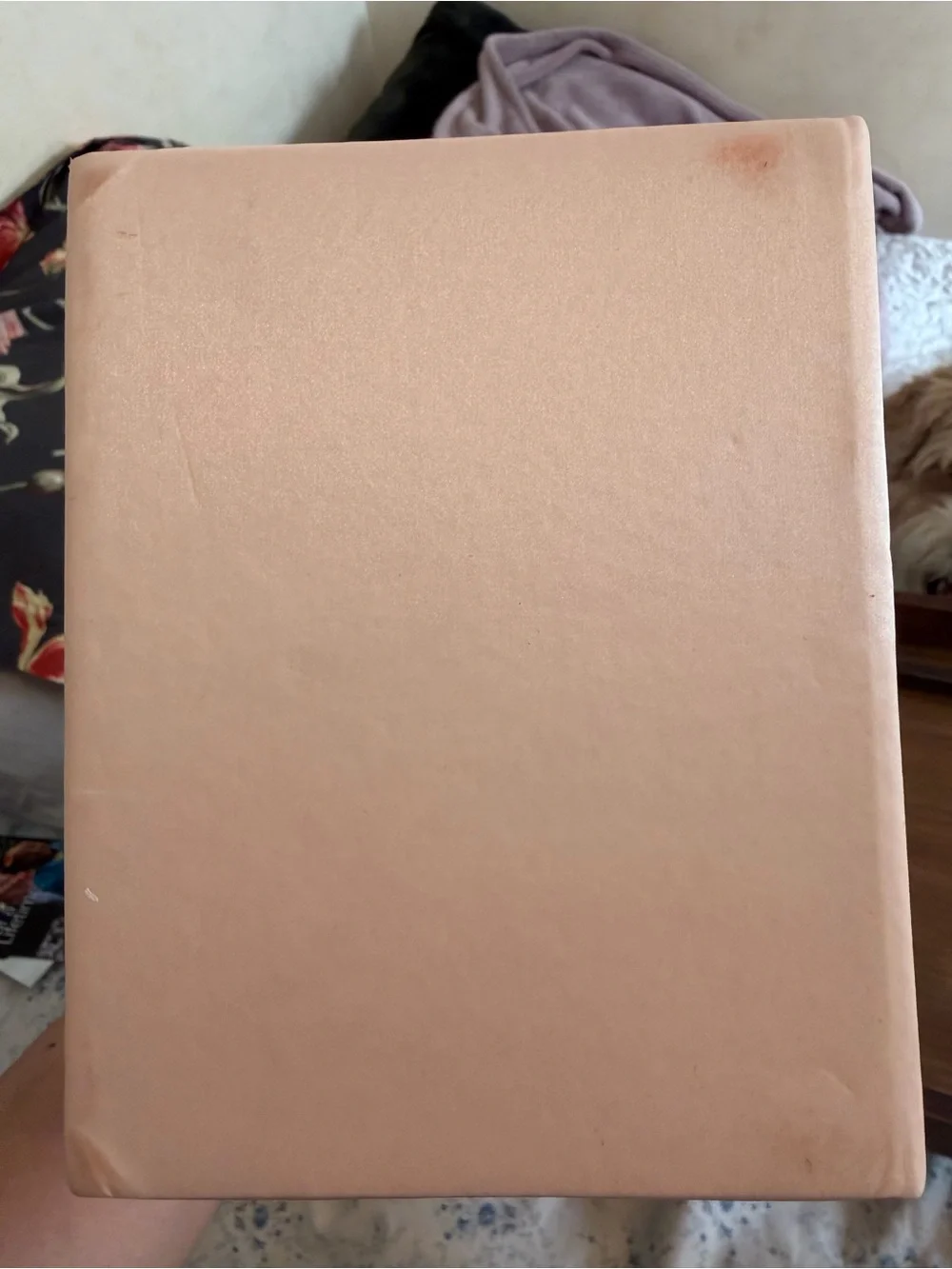 Blush Pink Jewelry Box with Gold Hardware